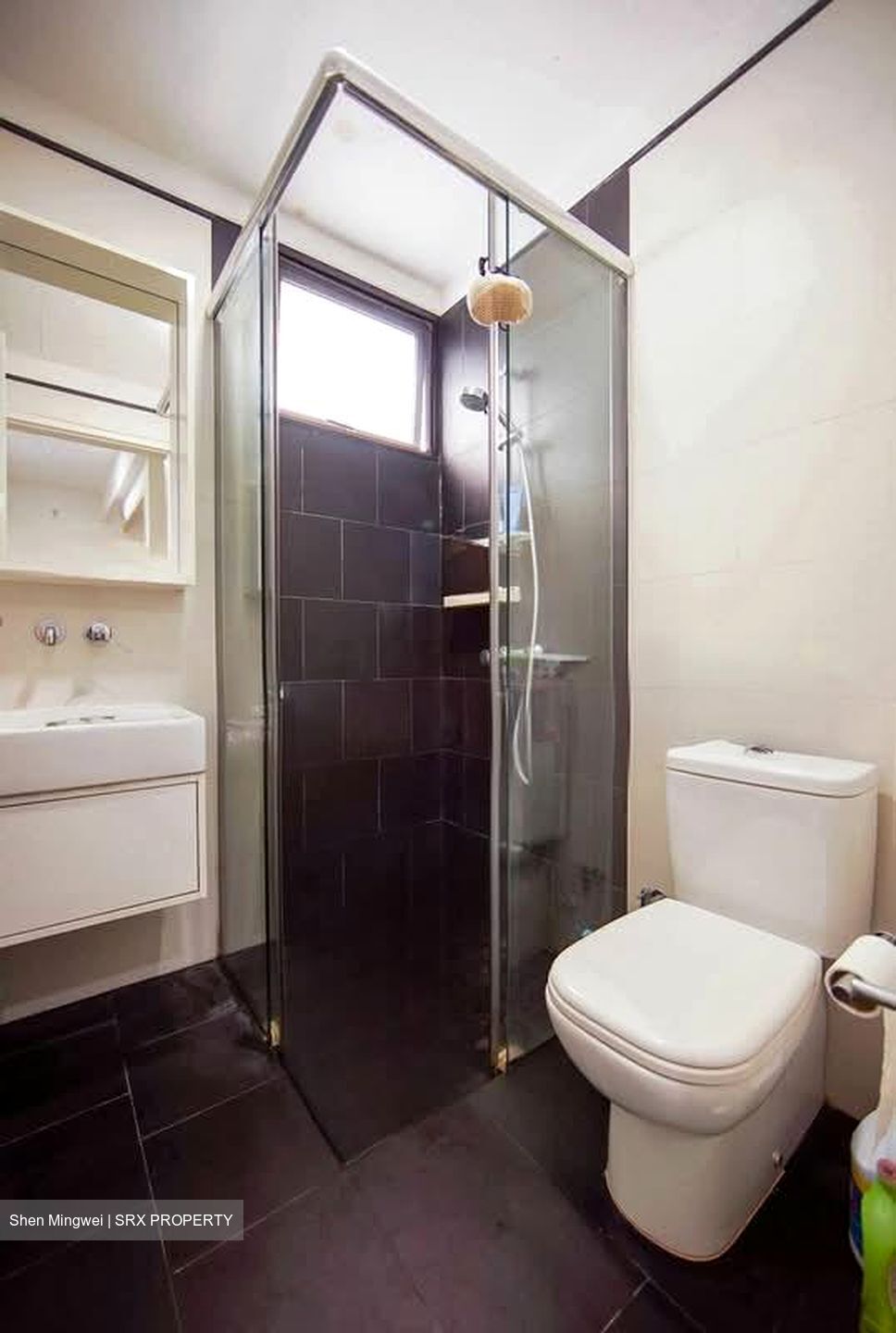 Village @ Pasir Panjang (D5), Condominium #565969631